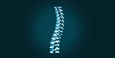 Spine Navigation